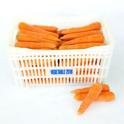 Cenoura In Natura