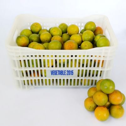 Laranja In Natura