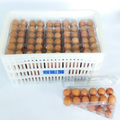 Ovo Vermelho In Natura