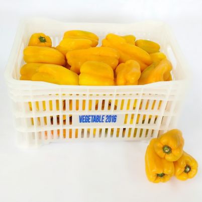 Pimentão Amarelo In Natura