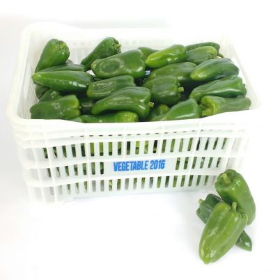 Pimentão Verde In Natura