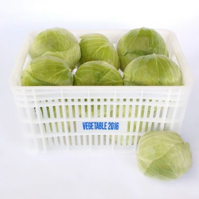 Repolho Branco In Natura