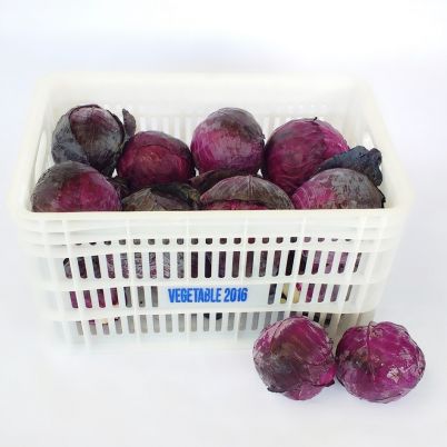 Repolho Roxo In Natura